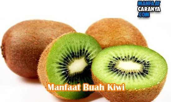 Manfaat Dan Khasiat Buah Kiwi Bagi Kesehatan Tubuh