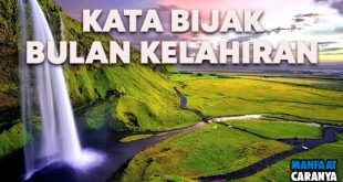 Kumpulan Caption Kata Bijak Bulan Kelahiran Ucapan Selamat Ulang Tahun Terkini