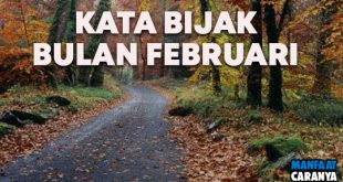 Kumpulan Kata Bijak Awal Bulan Februari Kalimat Mutiara Penuh Makna Terkini