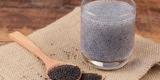 Manfaat Chia Seed Bagi Tubuh